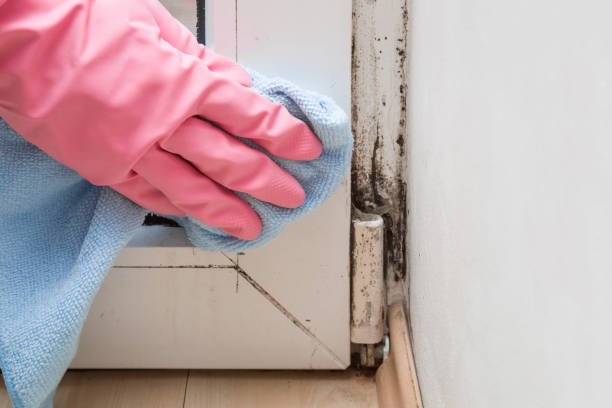 Water Damage Restoration in Marquette, MI